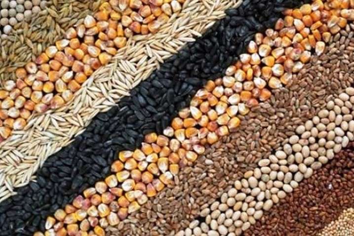 Аграрії Вінниччини зібрали понад 3 млн тонн врожаю зернових