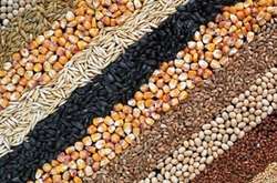 Аграрії Вінниччини зібрали понад 3 млн тонн врожаю зернових