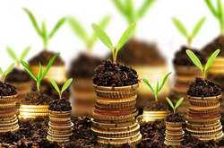 Что думают украинцы о рынке земли: соцопрос