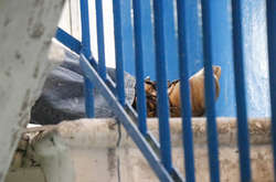 Тіло виявили на сходах між поверхами будівлі