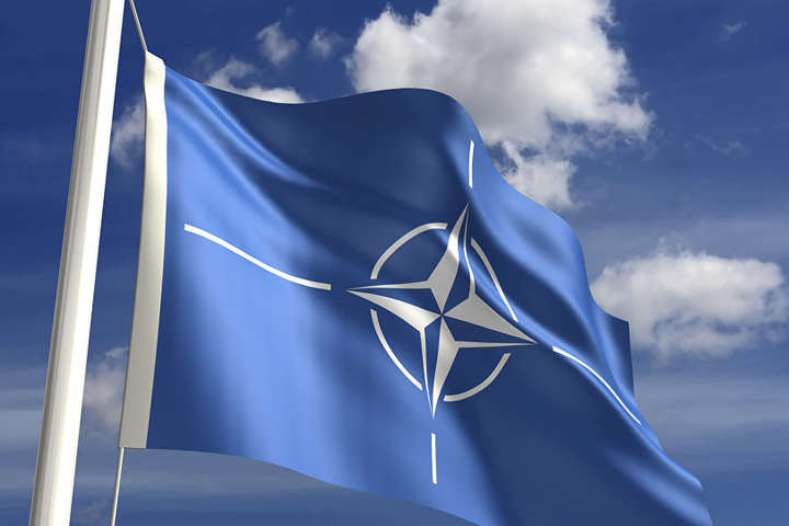 НАТО поддержало формулу Штайнмайера