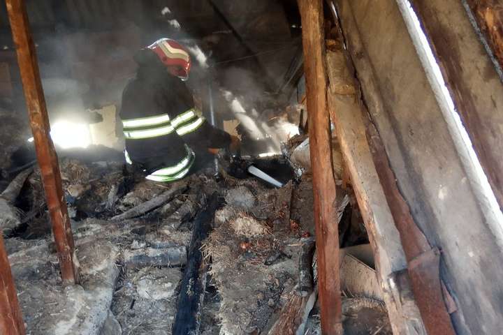 Під час пожежі на Київщині було врятовано жінку (фото)