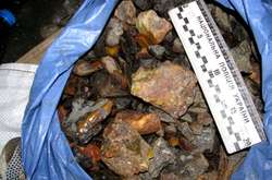 Поліцейські виявили в авто майже 20 кг бурштину