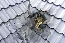 У Рівному невідомі кинули гранату в будинок депутата