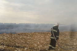 У с. Голодьки на Київщині горіла стерня