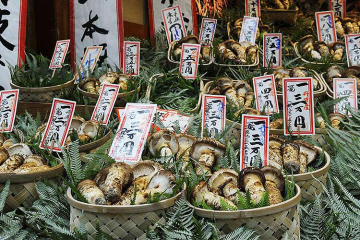 У Японії вчені домлідили роль грибів у профілактиці раку