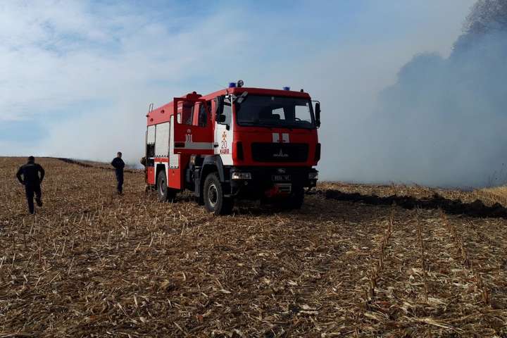 На Черкащині впродовж доби ліквідували сім пожеж на полях, – ДСНС