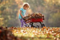 Бабине літо в Києві вже встановило два температурні рекорди