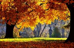 Прогноз погоди в Україні на четвер: до +22 і без опадів