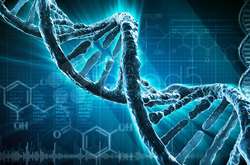 Дослідники проаналізували гени в тканинах мозку людей, які померли у віці від 60 до 100 років