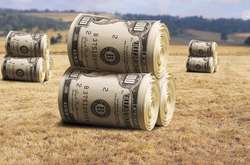 Аграрный комитет Рады принял решение касательно закона о рынке земли