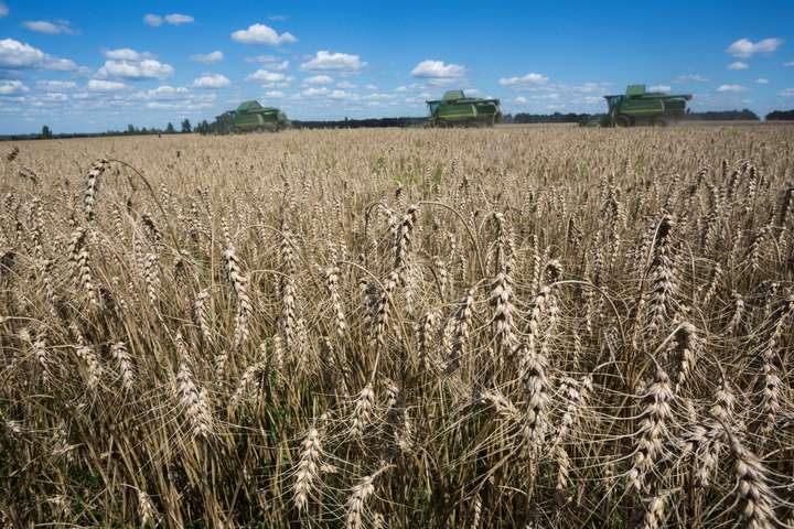 Ukrlandfarming: Інновації підвищують врожайність посівів