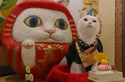 В Японии есть настоящий кошачий храм, чьи монахи легко обратят вас в свою веру 