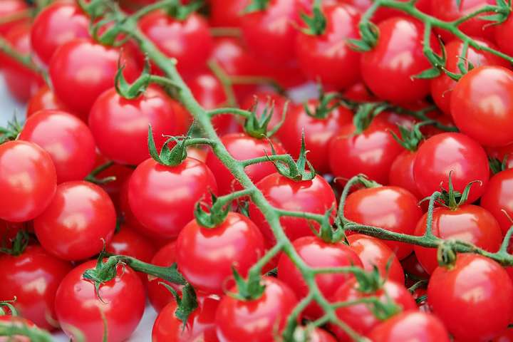 Україна за дев’ять місяців вже імпортувала річний обсяг томатів