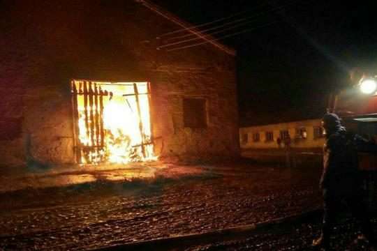 На фермі у Запорізькій області пожежа знищила 200 поросят 