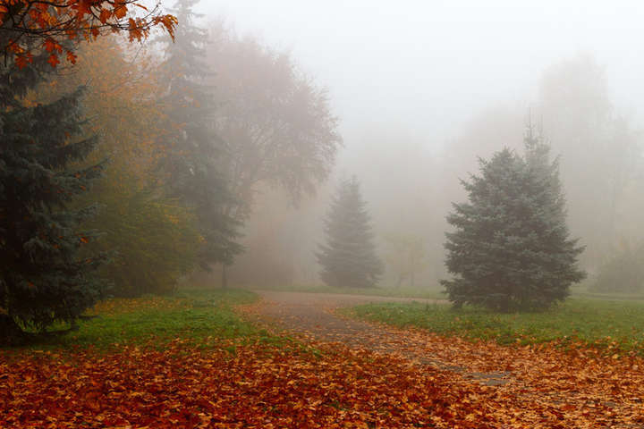 Без опадів, але з туманами: прогноз погоди в Україні на 22 жовтня