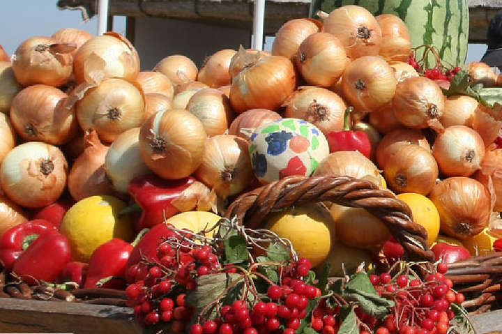 У Києві осінні ярмарки: де можна купити свіжі і недорогі продукти (адреси)