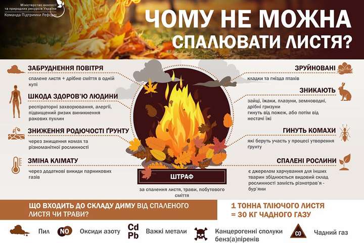 Українців просять перестати палити листя 
