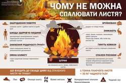 Українців просять перестати палити листя 