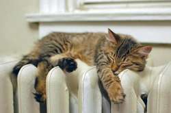 Оголошено дату старту опалювального сезону в Києві