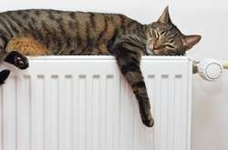 В Україні 15,5% житлових будинків вже мають теплі батареї 