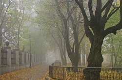 Рятувальники заспокоюють українців: шкідливих речовин у тумані немає