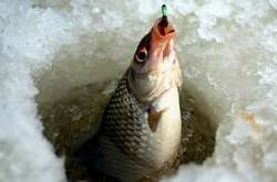 Через тиждень буде заборонено вилов риби