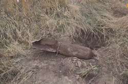 Виявлена на Київщині авіабомба