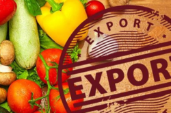 Українські аграрії цього року збільшили експорт до ЄС майже на €2 млрд