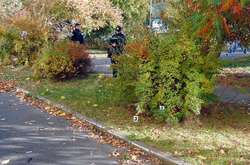 Зловмисник скоїв напад на дівчину біля навчального закладу