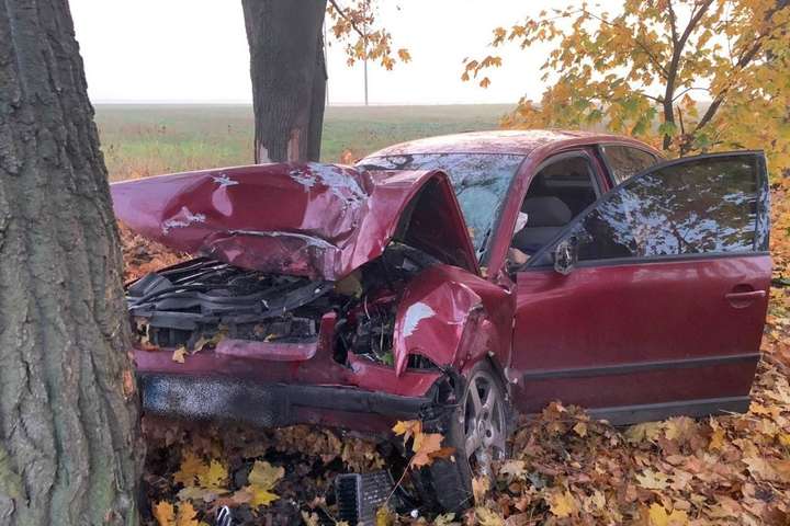 На околиці Білої Церкуи автівка з’їхала у кювет та зіткнулася із деревом - ДТП на Київщині забрали життя двох людей (фото)