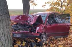 На околиці Білої Церкуи автівка з’їхала у кювет та зіткнулася із деревом