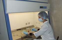 Дифтерія на Закарпатті: Лондонська лабораторія визначить походження штаму вірусу