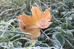 Вночі у західних та північних областях від 1° тепла до 4° морозу