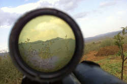 На Донбасі активізувалися ворожі снайпери