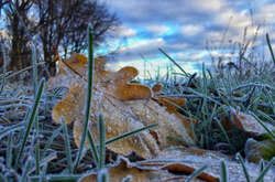 В Україні вночі очікуються заморозки до -6 градусів
