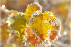 Від –6 градусів вночі до +9 вдень: прогноз погоди в Україні на четвер