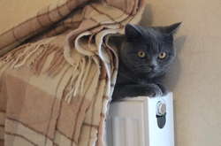 На Херсонщині до опалення поки не підключили житлові будинки