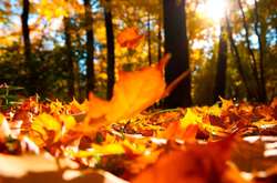 Синоптики оприлюднили прогноз погоди на листопад