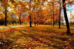 Жовтень у Києві став сьомим у рейтингу найтепліших з 1881 року