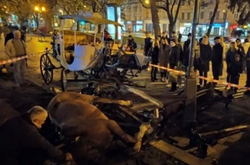 У Львові карета з кіньми вилетіла на лавку і важко травмувала дівчину (фото)
