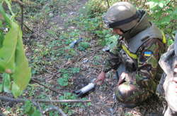 Фінляндія виділить 600 тисяч євро на розмінування Донбасу