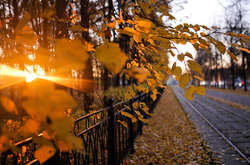 Листопад у Києві встановив перший температурний рекорд