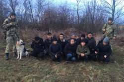 На Закарпатье вьетнамцы пытались незаконно пересечь границу, маскируясь под животных