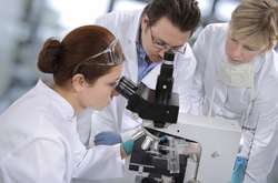 Вчені Бейлорского університету в США виявили механізм, за допомогою якого клітини захищаються від шкідливого впливу сонячного світла на ДНК