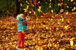 За п’ять днів листопад у Києві вже встановив три температурні рекорди