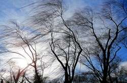 Киян попередили про сильний вітер 