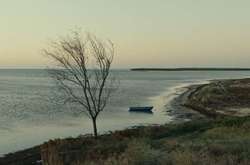 Украинский фильм вошел в лонг-лист кинопремии «Золотой глобус»