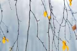 Найближчими днями місцями по Україні очікуються невеликі дощі