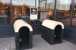 Комфортні умови для домашніх тварин